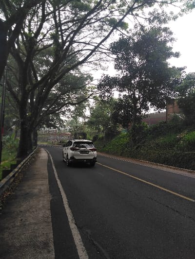 An outdoor, daytime image depicts a paved two-lane road within Cijedil, Indonesia. A white SUV, specifically a Toyota Rush or similar model, is traveling away from the viewer in the left lane. The road surface is dark asphalt with a solid white line defining the immediate left edge of the vehicle lane and a broken white line further left. A solid yellow line is visible along the right side of the vehicle lane. To the immediate left of the road is a concrete pedestrian path or shoulder, bordered by a grey metal guardrail. Beyond the guardrail, a dense canopy of large, mature trees with dark trunks and branches extends over the road, some exhibiting epiphytic growth. To the right of the road, a green, vegetated embankment slopes upwards, with parts of distant structures, including a reddish-brown roofline, visible through or above the foliage. The sky is overcast and bright. No individuals are present in the scene.