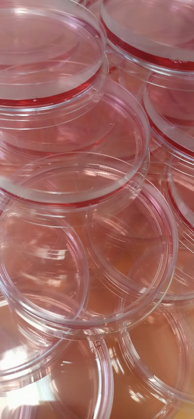 This media file shows a close-up, overhead view of a pile of clear plastic petri dishes. The petri dishes are stacked and overlapping, creating a sense of depth and texture. Each dish has a slightly raised rim, and some of the rims have a thin red stripe. The bottom of some of the dishes appears to contain a pinkish liquid, possibly a culture medium. The lighting is bright, suggesting an indoor or well-lit environment, and there are reflections on the surfaces of the plastic. No people are visible in the image. The overall scene is sterile and organized, indicative of a laboratory or scientific setting. There is a small number "8" visible on the inside rim of one of the petri dishes.