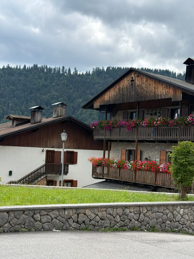 The image shows a view of buildings in Sauris di Sopra / Plozn / Sauris Disore, Italy. Two traditional alpine-style houses are visible, characterized by wooden facades and balconies adorned with abundant red and pink flowers. The house on the right features a multi-story wooden balcony with flower boxes overflowing with vibrant blooms. The house on the left has a white stucco exterior with wooden window shutters and a prominent staircase leading to an upper entrance. The roofs of both buildings are dark, with visible chimneys on the left house. In the background, a dense forest covers a hillside under a cloudy sky. In the foreground, a low stone wall separates a paved area from a strip of green grass.