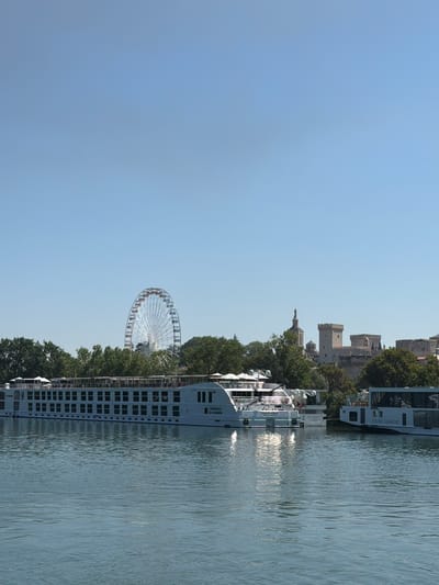 This media file captures a scene along the Rhône River in Avignon, France. The image is oriented vertically, with the river occupying the right side and a clear blue sky the left. Two large cruise ships are docked side-by-side on the river. The ships are white with multiple decks featuring numerous rectangular windows. Visible text on one ship reads "VIKING HERMOD" and on the other "UNIWORLD SS CATHERINE".
On the left side of the image, a large Ferris wheel stands prominently. Behind the Ferris wheel and extending towards the top of the frame are buildings, including what appears to be a large, ancient stone palace or fortress, likely a historical landmark given the location context of Avignon. Lush green trees line the riverbank between the Ferris wheel and the cruise ships, and also surround the historical buildings. The water of the Rhône is calm with visible ripples reflecting sunlight, suggesting a bright, sunny day. The overall impression is one of a scenic and historic riverside location. The image seems to be taken during daylight hours, likely late morning or afternoon given the strong sunlight.