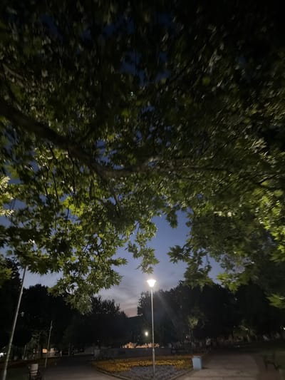 A low-angle, slightly blurry nighttime photograph captures a park scene in Krumovgrad, Bulgaria. The foreground is dominated by the dark, leafy branches of a tree, silhouetted against a dusky sky transitioning from deep blue to lighter hues near the horizon. A single streetlamp is illuminated, casting a bright, cool light on the path below. In the mid-ground, a dark line of trees forms a dense backdrop, with other faint lights visible amongst them, suggesting more park features or distant buildings. The ground in the foreground appears to be a paved pathway, with a flowerbed or landscaped area featuring yellow and brown foliage visible to the right. Benches and trash receptacles are sparsely present. The overall impression is one of a quiet, urban park at twilight.