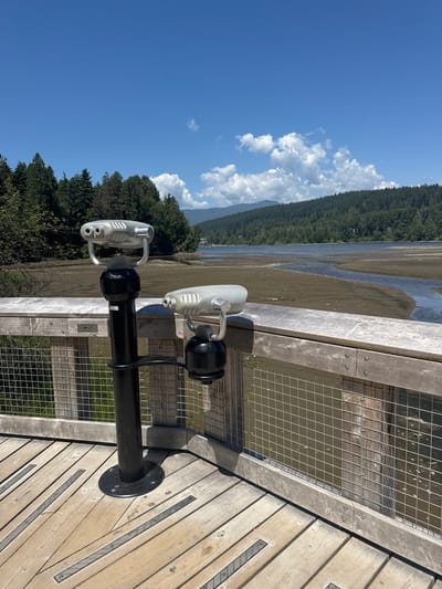 The image depicts a scenic overlook in Port Moody, Canada, likely at the Shoreline Park or Rocky Point Park area, featuring a wooden boardwalk with two coin-operated binoculars mounted on black poles. The binoculars are silver and positioned to view a tidal flat and inlet with a distant forested shoreline and mountains under a bright blue sky with scattered white clouds. The boardwalk itself is constructed from light-colored wooden planks with metal strips for traction, and a metal mesh fence lines the edge, separating the walkway from the view. The tidal area shows exposed mudflats with channels of water, suggesting low tide. The environment is natural and serene, with no people visible in the frame.