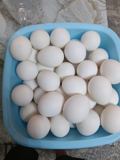 This media file displays a light blue plastic basin filled with a large quantity of white eggs. The eggs are of various sizes and are packed closely together, filling the basin almost to the brim. The lighting suggests an indoor setting, likely during the daytime, with no discernible weather cues.
The background shows a patterned surface that appears to be a countertop or table, with a slight sheen. To the upper left, a portion of a glass object, possibly a jug or pitcher, is visible. The overall composition is a close-up, overhead shot of the eggs.
No people are visible in the frame, and no specific activity or event is depicted beyond the arrangement of the eggs in the basin. The image is devoid of any visible text. The location context is Khujand, Tajikistan, but this information is not visually evident from the image itself. The focus is solely on the collection of eggs.