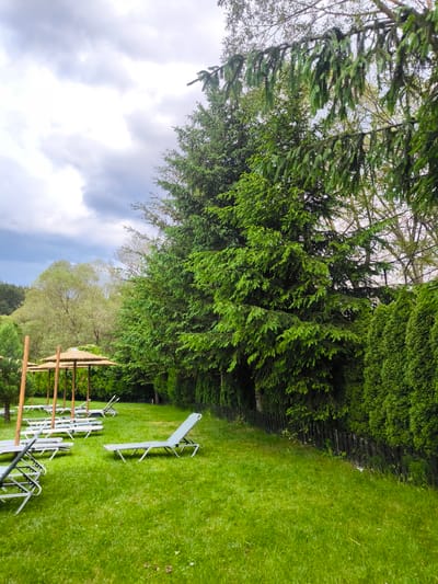 The image depicts an outdoor setting with lush green grass, several empty lounge chairs, and straw-covered umbrellas. Tall evergreen trees line the right side of the frame, forming a dense wall of foliage. In the background, a cluster of deciduous trees with light green leaves adds contrast. The sky is overcast with heavy, gray clouds. The scene appears to be a peaceful, possibly resort or hotel grounds, located in Dobrinishte, Bulgaria. There are no people visible in the image.