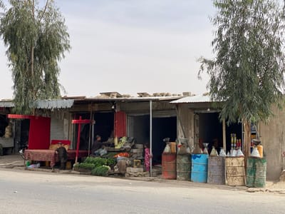 The image shows a street scene in Panjwai, Afghanistan.  The image is taken at the location with latitude 31.542 and longitude 65.463.  There are two buildings in the photo, a smaller one in the front with a red awning, and a larger one behind it with a gray awning.  The smaller building has a red couch inside with a man seated on it.  The larger building appears to be some kind of store, selling products that are not visible in the photo.  Both buildings have corrugated metal roofs and are in a state of disrepair.  The smaller building has an old, faded, patterned rug lying on the ground.  There are a variety of items placed on the ground in front of the building, including a collection of various sizes and colors of oil and fuel barrels.  There is a large tree on the left side of the image and another on the right.  The road in the foreground is paved and there is a small, dirt-filled area to the right of the building.  The sky is a pale gray.  The lighting is sunny with very little shadow.  There are no other people visible in the image.