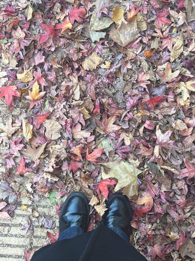 An aerial view shows a person's lower body and feet walking on a ground covered with fallen autumn leaves. The person is wearing black boots, gray socks, and dark pants or a long skirt. The leaves are varied in color, including shades of red, brown, yellow, and purple. The leaves are scattered densely across the ground. The ground appears to be concrete or pavement with a pattern of horizontal lines or grooves visible in the lower right corner of the image. The location is La Lucila, Argentina.