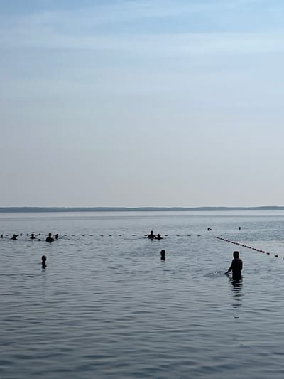 The image depicts a serene outdoor scene at a lake in Surakovo, Russia. The sky is a pale blue, with a subtle haze obscuring the horizon. The water is calm, with gentle ripples reflecting the sky. In the distance, a thin line of trees marks the shoreline.
The primary focus of the image is the group of people swimming in the lake. They are silhouetted against the water, their figures appearing as dark shapes against the lighter backdrop. Several individuals are visible, some fully submerged in the water, while others are standing or wading near the shore. A rope with buoys demarcates a swimming area, with some people swimming within this boundary. One person in the foreground is standing in the water, their hand touching the surface. The overall atmosphere is one of peaceful recreation and enjoyment of nature.
