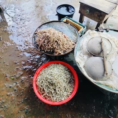The image shows a wet, possibly outdoor, market scene in Unknown, Bangladesh. In the center-left is a red plastic bowl filled with small, white fish or shrimp. Adjacent to it is a dark metal pan piled with light brown fish or shrimp. To the right of the pan is a scale, covered in plastic. A black bucket of water and a small wooden stool are visible in the background. The ground is wet and uneven.
