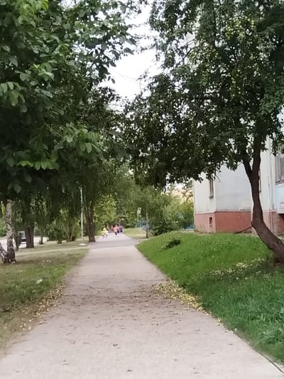 The image depicts a paved walkway in a park-like setting, likely in Roshchinsky, Russia, on an overcast day. Lush green trees line both sides of the pathway, with one tree on the right bearing small, light-colored fruits. Fallen fruits are scattered across the walkway and the grassy verge.
In the distance, a small group of people, appearing to be children or young adults, are walking away from the camera. They are dressed in casual clothing, with some wearing brightly colored tops. Their activity seems to be a leisurely stroll or perhaps a group outing. The scene conveys a sense of everyday life in a residential area or park.
A building with a light-colored facade and a red brick foundation is visible on the right side of the image, suggesting a populated area. The overall impression is a calm, possibly late afternoon scene, given the diffused light. There is no visible text in the image. The presence of the fallen fruits and the overcast sky suggest a late summer or early autumn day.