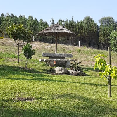 The image depicts a picnic area in a grassy park, likely located in Vila Verde, Portugal, given the overall ambiance of a sunny, rural European setting. In the foreground, a lush green lawn is partially shaded by trees. To the left, two small trees with sparse foliage are visible. The central focus is a rustic picnic table constructed from heavy, rough-hewn stone slabs, topped with a thatched umbrella. An orange flower blooms near the base of the table, accompanied by a spiky succulent plant and several large rocks. In the background, a dense forest of pine trees forms a backdrop against a clear blue sky. A white post-and-wire fence runs horizontally across the middle ground, separating the park from the treeline. The scene suggests a tranquil outdoor recreational space. There are no people visible in the image.