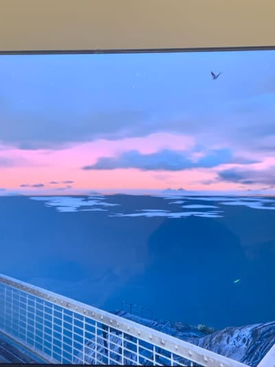 This image depicts a view from a bridge overlooking a body of water. The sky is a gradient of blue and pink, suggesting either sunrise or sunset, with scattered clouds. A single bird is visible flying in the upper right portion of the sky. The bridge railing, constructed of white diamond-shaped netting, occupies the foreground. In the distance, a rocky outcrop with sparse vegetation is visible on the right side. The overall scene is serene and natural, with no explicit indication of the city of Vejprty, Czechia.