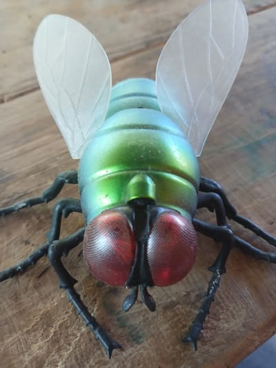 The image shows a close-up, overhead view of a large, decorative fly model resting on a wooden surface. The fly has a metallic green, segmented body, two large, iridescent red compound eyes, and transparent, veined wings. Its legs are black and spindly, with pointed tips. The wooden surface appears to be a rustic table or board with visible grain and texture. The lighting suggests it is daytime, with no specific weather conditions indicated. The scene is static, with the fly model positioned as if it were about to take flight or had just landed. There is no visible text in the image. The location context of Dinskaya, Russia, does not provide any visual cues within the image itself, as the subject is an artificial object and the background is a generic wooden surface.