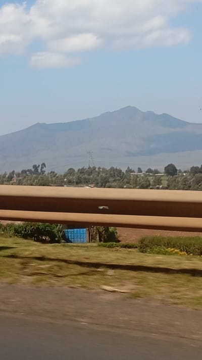 A distant mountain range dominates the horizon under a blue sky with scattered clouds. A line of trees and vegetation stretches across the midground. A brown guardrail cuts horizontally across the image, partially obscuring the view of a blue structure and surrounding greenery below. The foreground is blurred, showing grass and a paved surface. The overall scene suggests a landscape viewed from a moving vehicle.
