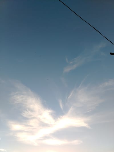 This media file depicts a vast expanse of a clear blue sky, punctuated by wispy, white clouds. A prominent black wire stretches diagonally across the upper portion of the frame, suggesting an outdoor setting with overhead infrastructure, possibly power lines. The clouds are illuminated from below, indicating that the sun is low in the sky, either rising or setting, casting a warm glow. Several small, dark specks are visible against the bright sky, appearing to be birds in flight. The overall impression is one of tranquility and open space, characteristic of a rural or undeveloped area. Given the location context of Baikonur, Kazakhstan, this could be a view of the sky above the steppe landscape surrounding the cosmodrome. The image does not contain any visible text.