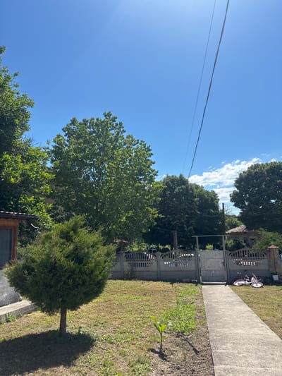 The image depicts a sunny outdoor scene, likely in the village of Enevo, Bulgaria, on a clear day with a bright blue sky and a few scattered white clouds. In the foreground, a concrete pathway leads towards a large metal gate, flanked by a concrete fence. To the left of the pathway, a small, round, green shrub is planted in a grassy area with some weeds. Further to the left, a portion of a wooden structure with a window is visible. To the right of the pathway, two pink bicycles are resting on the grass, leaning against the fence. Beyond the fence, several large trees with lush green foliage dominate the middle ground, with glimpses of buildings and more trees in the background. The overall impression is of a residential yard on a summer day.