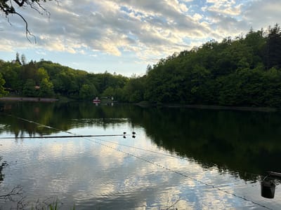 The image captures the picturesque Ursu Lake in Sovata, Romania. A calm lake surface reflects the sky filled with scattered clouds. Lush green forests surround the lake, adding to its natural beauty. In the middle distance of the lake, two birds are perched on a floating object or line. Along the water's edge, a branch is visible in the lower left, and on the right is a hanging bucket. There is also a red and white boat on the lake in the distance.