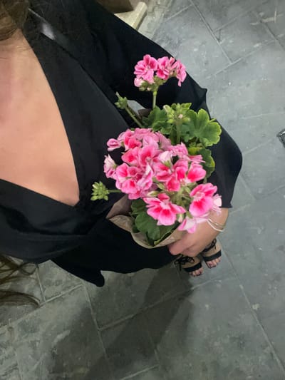 A woman sits on a stone tile surface, holding a bouquet of pink and green flowers in her hands. The flowers are centrally positioned in the image, dominating the view. She is wearing a black dress and black sandals with straps. A silver bracelet adorns her wrist. The background consists of the gray stone tile. The photo appears to have been taken in an urban setting, possibly in Paiporta, Spain.