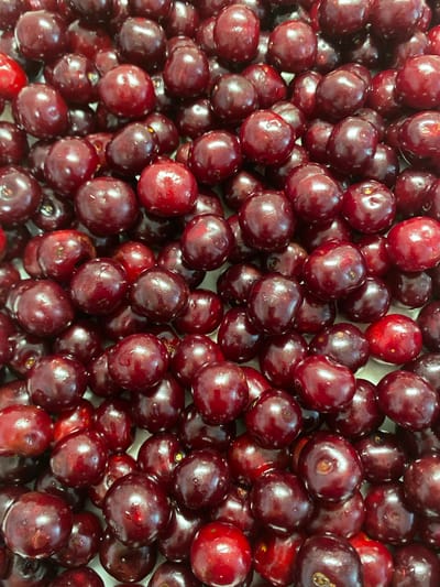 The image is a close-up, overhead view of a large pile of dark red cherries. The cherries are round and plump, with a glossy sheen indicating they are fresh. Some cherries have visible stems, while others do not. The lighting suggests an indoor setting, possibly a market or kitchen, as there are no shadows that would indicate natural sunlight. The cherries fill the entire frame, obscuring any background details. The scene depicts a bountiful harvest or a preparation for food consumption. There are no people, animals, or any other objects visible in the image. The location in Kushchovskaya, Russia is not discernible from the image itself.