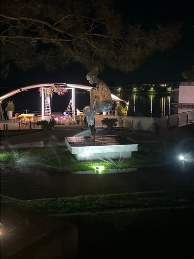 This is a nighttime, low-angle, vertical shot of an outdoor area in Vyshen'ky, Ukraine. The scene appears to be a park or recreational space with a large, abstract metal sculpture in the foreground. The sculpture is complex, with curved and angled pieces, possibly representing an animal or a flowing form.

To the left of the sculpture, there is a large, dark tree with sparse foliage. Behind the tree and sculpture, a body of water is visible, reflecting lights from buildings and structures along its edge. These reflections are elongated and distorted, suggesting the water surface is rippling.

In the mid-ground, there is a modern structure with clean lines, possibly a building or pavilion, featuring geometric shapes and illuminated elements. There is also a white, semi-circular railing or pathway with embedded lights. Floral arrangements with purple flowers are visible on this structure, adding a touch of color to the dark scene.

On the right side of the image, a lawn area is illuminated by sprinklers, creating a misty effect. The grass is vibrant green, contrasted by the dark, shadowy background and a paved walkway. A tall, rectangular concrete structure stands on the lawn, also illuminated from below.

The time of day is clearly night, with artificial lights providing the primary illumination. The weather appears calm, with the sprinklers indicating active watering. No visible text is present in the image. The overall mood is serene and somewhat mysterious, with the interplay of light and shadow creating a dramatic effect.