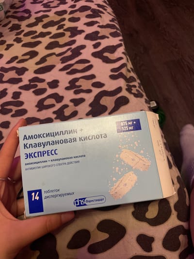 A box of Amoxicillin + Clavulanic Acid EXPRES is held by a person's left hand. The box is light blue with white lettering and depicts two white tablets with bubbles around them. The text on the box includes "Амоксициллин + Клавулановая кислота ЭКСПРЕСС", "875 мг + 125 мг", "14 таблеток", and "антибиотик широкого спектра действия". The box is placed on a leopard-print fabric. The background is dark and out of focus. The location is not specified in the image or provided context, so it cannot be determined to be in Vaganovo, Russia.