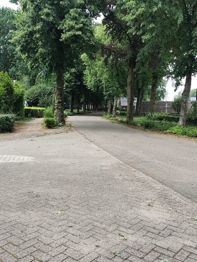 The image depicts a tree-lined asphalt road in Schaijk, Netherlands. The road curves to the left, with a paved pedestrian path on the left side. Large trees with dense green foliage line both sides of the road, creating a canopy. There are some residential buildings visible in the background, behind the trees. The ground is a mixture of asphalt and brick paving. The scene appears to be a quiet, suburban street. There are no people or vehicles visible in the image.