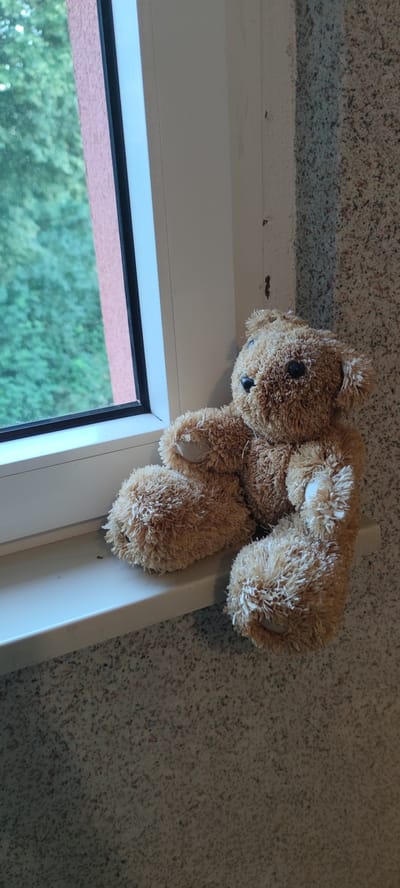 A brown teddy bear sits on a white windowsill, its body angled towards the right. The bear has black button eyes and a fuzzy texture. To the left of the bear, a window pane looks out onto lush green trees and a textured pink wall. The wall to the right of the bear is speckled and appears to be made of stone or concrete. The image is taken from a high-angle perspective. The location is a residence in Liebenburg, Germany.