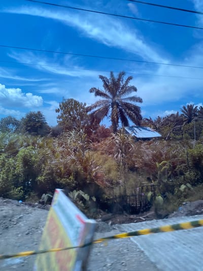 The image captures a scene on a sunny day in Padangrubek, Indonesia, likely from a moving vehicle. In the foreground, a blurred yellow and black striped barrier tape runs across a paved surface. To the left, a partially visible, blurred sign with yellow and red lettering is also present. The middle ground is dominated by lush, tropical vegetation, including palm trees and various shrubs. A small, weathered building with a metal roof is nestled among the trees. In the background, a vibrant blue sky with wispy white clouds is visible, intersected by dark overhead wires. The overall impression is one of a rural or semi-rural setting characterized by abundant plant life and a simple dwelling.