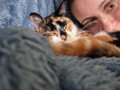 A close-up, upside-down photograph shows a person and a cat lying on a blue, textured blanket. The person, located on the left, is mostly out of frame, but a portion of their face, including an eye with glasses, nose, and part of their beard, is visible. The cat is positioned on the right side of the frame, with its head tilted. The cat is calico, with orange, black, and white fur. Its yellow eyes are open and facing the viewer. The background consists of a blue blanket with a soft, textured surface. There is no indication of the city Birmingham, United Kingdom, in the photograph.
