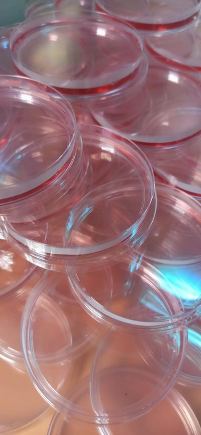 The image shows a close-up, overhead view of a large pile of clear plastic petri dishes, stacked in a disorganized manner. The petri dishes are round and appear to have a reddish-pink hue, possibly due to the lighting or the material they are made from. Some of the dishes have a red rim or band around their edge. The lighting creates reflections and glares on the surfaces of the dishes, with some areas showing a bright blue and green iridescent sheen, likely from light refracting through the plastic. The background is a soft, out-of-focus warm tone, suggesting a surface or container beneath the petri dishes. The setting appears to be indoors, possibly a laboratory or a storage area, given the nature of the objects. There are no people or specific time-of-day or weather cues visible. The focus is entirely on the texture, shape, and reflections of the stacked petri dishes. There is no visible text in the image.