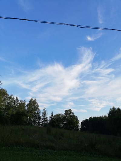 The image shows a clear blue sky with thin, wispy white clouds stretching across it. In the foreground, a line of dark green trees runs along the horizon, with the sky visible above them. The lower portion of the image is filled with dark green foliage, suggesting a grassy area or meadow. A thin black wire runs horizontally across the upper part of the frame, dividing the sky. The scene appears to be outdoors and natural, possibly in a rural or park-like setting within the Новапагосцкі сельскі Савет, Belarus. There are no people or visible animals in the image.