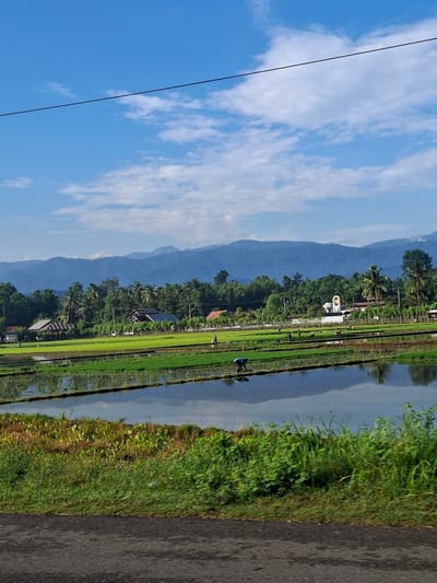 The image depicts a panoramic view of a rural landscape in Kampung Jumpa, Indonesia. The scene is dominated by lush green rice paddies reflecting the bright blue sky, which is dotted with scattered white clouds. In the background, a dense line of trees and vegetation separates the fields from a range of imposing, blue-hued mountains. Several houses with distinctive red-tiled roofs are interspersed within the trees, suggesting a small village or settlement. A single utility wire stretches horizontally across the upper portion of the frame.
In the foreground, a paved road runs along the bottom edge of the image, with a strip of dense, green foliage bordering the fields. Several individuals can be observed working in the rice paddies. One person, wearing a blue shirt, is bent over in a flooded section of the field, possibly engaged in planting or tending to the crops. Other figures are visible in the distance, also working in the fields. The overall impression is one of agricultural activity taking place in a serene, natural setting under a clear sky.