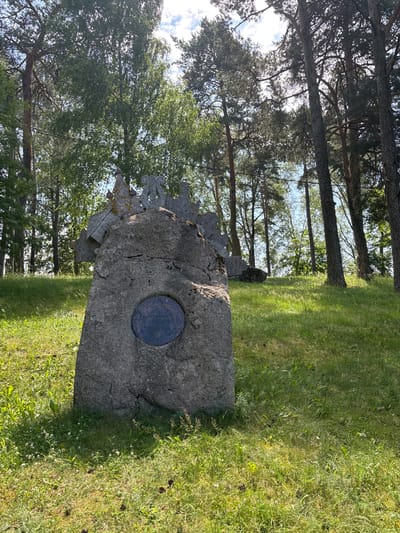 This is a vertical, outdoor, eye-level medium shot of a large, weathered stone monument in a grassy field. The monument is rough and textured, with a circular inset of what appears to be dark, polished stone or metal. Intricate carvings, possibly floral or symbolic, adorn the top and left side of the monument. Behind the monument, a line of tall, slender trees with sparse green foliage creates a natural backdrop. The ground is covered in vibrant green grass, with a few scattered pinecones and small white wildflowers visible. The lighting suggests a bright, sunny day, casting a clear shadow from the monument onto the grass. The overall scene evokes a sense of quiet solemnity, potentially a memorial site or a historical marker. The image is set in Pastavy, Belarus. There is no visible text in the image.