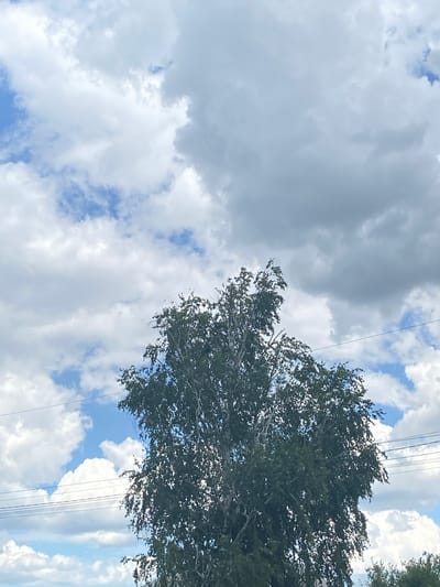 A tall, leafy tree dominates the center of the frame, its branches reaching towards a sky filled with a mix of white and grey clouds. Several power lines are visible crisscrossing the image horizontally, passing behind the tree and across the sky. The scene is set against a backdrop of blue sky peeking through the clouds. The location is Shulhynka, Ukraine.