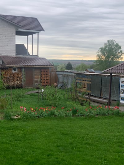 The image depicts a rural scene with a building under construction on the left, adjacent to a smaller wooden structure. The wooden structure has stacks of firewood on one side, and logs stacked on the other. A fence separates the buildings from a grassy area with red and pink flowers. Further away, a field leads to a distant tree line and a cloudy sky. Kremyonki, Russia is not explicitly visible in the image, and its location can not be explicitly inferred.