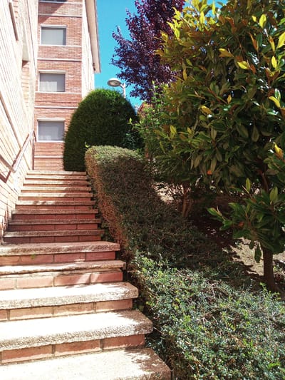 An outdoor scene features a set of brick stairs with concrete edges leading upwards alongside a brick building. To the right of the stairs are various types of green foliage, including manicured bushes and larger trees with broad leaves, some of which appear to be deciduous with reddish undertones. The sky is clear blue. The location is Castellfollit de la Roca, Spain.