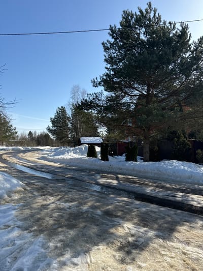 The scene depicts a residential road in Klementyevo, Russia, during a spring thaw under a clear blue sky. The asphalt road, curving slightly to the left, is partially exposed and covered with dirty, melting snow, slush, and puddles of water. Accumulations of dirty snow line both sides of the road, forming uneven banks.
To the right, a large coniferous tree, likely a pine, stands prominently in the foreground, its trunk visible. Behind it, a two-story building with a red exterior and white window frames is partially visible. A dark, vertical slat fence runs along the property boundary. In front of the fence, between the large pine and the road, are several evergreen shrubs and a small wooden structure with a snow-covered gabled roof, possibly a decorative well cover or mailbox.
Further into the background on the right, additional evergreen trees are present. On the left side of the road, more snow banks extend towards a distant treeline composed of both coniferous and bare deciduous trees, including some with light-colored bark, possibly birch. An overhead wire crosses the upper portion of the frame against the sky. The sunlight is bright, casting shadows on the melting snow and road surfaces. No individuals, vehicles, or animals are present in the frame.
