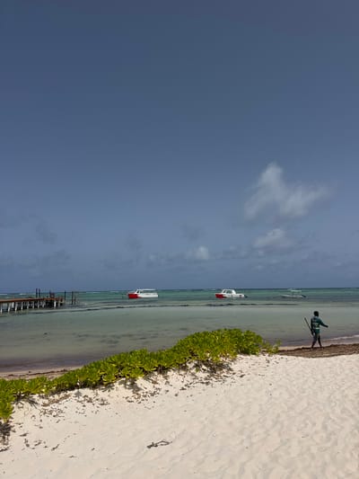 The image depicts a beach scene in Higüey, Dominican Republic, under a cloudy sky. In the foreground, a sandy beach is visible, with a line of lush green vegetation bordering the water. The water itself is shallow and clear, revealing the sandy bottom in some areas. A wooden pier extends into the water on the left side of the frame.
Further out in the water, two boats are anchored. The boat on the left is red and white, with visible windows and an inscription on its side. The boat on the right is white and smaller.
In the mid-ground, a single individual, dressed in a green shirt and dark pants, walks along the shoreline. They are carrying a long, thin object, possibly a rake or a pole. The individual is walking away from the camera, towards the right side of the frame. The environment appears tranquil and serene.