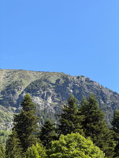 A bright, cloudless blue sky dominates the upper portion of the image. Below the sky, a rugged, rocky mountain slope stretches across the mid-ground. The mountain is covered in patches of green vegetation, with sparse trees clinging to its steeper sections. The upper ridgeline of the mountain is sparsely vegetated with low-lying shrubs. In the foreground, several coniferous trees stand tall and green, with a dense canopy of bright green deciduous trees below them. The scene depicts a natural, mountainous environment, likely in the vicinity of Govedartsi, Bulgaria, characterized by rocky terrain, vegetation, and clear weather.