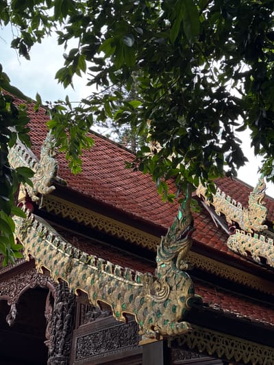 The image captures an ornate architectural detail of a building in Suthep, Thailand, viewed from below through lush green foliage. The primary subjects are decorative sculptures, likely mythological creatures, adorning the exterior of a structure with a red-tiled roof. These sculptures are predominantly gold, with accents of green, and are intricately detailed, resembling dragons or naga. They are positioned along the eaves of the building, with their heads facing outwards. The building's facade features dark wood with elaborate carvings and decorative trim.
The scene is dominated by the contrast between the vibrant, organic greenery of the leaves and branches in the foreground and the detailed, man-made artistry of the building behind it. The lighting suggests it is daytime, with bright areas of the sky visible through the leaves, indicating a potentially overcast or bright sky. The angle of the shot, looking upwards, emphasizes the grandeur and height of the building and the intricate craftsmanship of the sculptures. There is no visible text in the image. The overall impression is one of cultural richness and detailed artistry in a tropical setting.