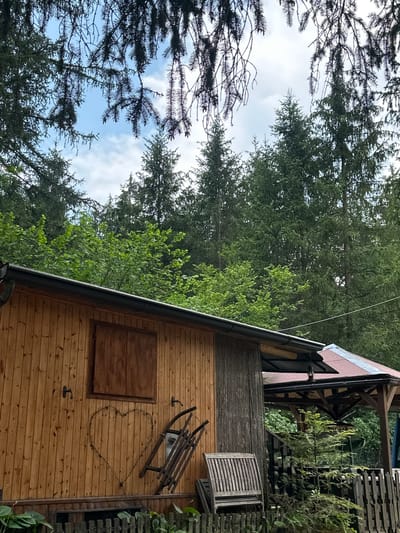 The image shows the exterior of a wooden cabin in a forested area. The cabin has a sloped roof with gutters. On the side of the cabin, there is a wooden window shutter and a heart shape outlined with lights. To the right of the cabin, there is a covered seating area with a sloped roof. In front of the seating area, there is a wooden bench and a small tree. A wooden fence runs along the front of the property, and various plants are visible in the foreground. The background consists of dense evergreen trees. The image does not provide any information about the city of Borno, Italy.