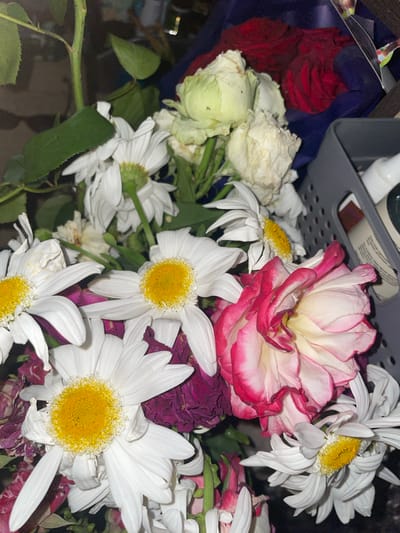 This media file depicts a close-up, overhead view of a bouquet of flowers. The primary subjects are a variety of flowers, including white daisies with yellow centers, a large pink and white rose with ruffled petals, some pale yellow or cream-colored roses, and some darker, possibly dried, purple flowers. The arrangement is in a dark blue plastic container, which is partially visible at the top left. Behind the flowers, a gray plastic basket with a perforated design is also visible.
There is no clear activity or event taking place; the image appears to be a still life arrangement of flowers.
Notable details include the wilting and slightly dried appearance of some of the flowers, suggesting they may not be freshly cut. The lighting is somewhat dim, suggesting an indoor setting, possibly in the evening or in a low-light environment. There are no explicit location cues that would pinpoint Semenivka, Ukraine, beyond the provided context. The overall mood conveyed is one of natural beauty, perhaps with a touch of melancholy due to the condition of some of the blooms.
No visible text is present in the image.