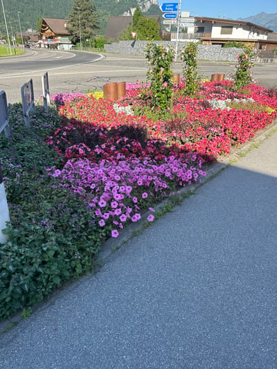 In Hüsen, Switzerland, a well-maintained street corner features a vibrant flower bed planted along the edge of a grey asphalt road. The flower bed is densely packed with a variety of colorful blooms, primarily in shades of pink, red, and purple. Several green plants with smaller purple flowers are also interspersed within the display. Behind the flowers, three ornamental metal structures, appearing to be made of rusted steel, rise from the soil.
In the background, a street curves to the left, with traffic signs indicating directions to Luzern, Brünig, and Interlaken. Several buildings, including a multi-story structure with a brown wooden facade and a white building with a dark-tiled roof, are visible along the street. A stone wall borders the property of one of the buildings. The scene is bathed in bright sunlight, casting a distinct shadow from the flower bed onto the road. A few streetlights are also present along the roadside. No people are visible in the immediate foreground or surrounding area.