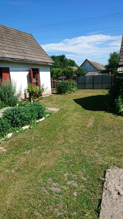 This is a photograph of a backyard scene in Dvirets, Ukraine, taken on a sunny day. The image is oriented vertically. In the foreground, there is a white building with a gray tiled roof and red accents, suggesting it is a house. A rose bush with red flowers is blooming near the building. Adjacent to the house is a lush green lawn that occupies the majority of the frame. The lawn appears slightly dry in some areas, indicating it might be mid-summer. A large, rough-textured gray stone is visible in the upper right corner of the image, bordering the lawn.
In the middle ground and background, there are several structures, likely outbuildings or neighboring houses. These include buildings with gray, corrugated metal roofs and wooden fences. Trees and dense greenery are scattered throughout the scene, adding to the natural and slightly overgrown feel of the backyard. Power lines stretch across the bright blue sky, which is dotted with wispy white clouds. The lighting and the clear sky suggest it is daytime, likely mid-morning to late afternoon. The overall atmosphere is peaceful and rural, conveying a sense of quiet domesticity in a Ukrainian village setting. No people or specific activities are depicted.