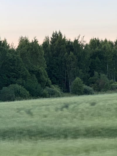 This media file depicts a serene natural landscape, likely a rural setting in the Garanskiy Sel'skiy Sovet, Belarus. The primary subjects are a dense forest bordering a softly lit sky, and a field of green crops. The image is oriented vertically, with the forest occupying the left and upper portion, and the field stretching across the right and lower part.
The forest is a mix of deciduous and coniferous trees, with visible lighter trunks of birch trees interspersed among the darker evergreen foliage. The canopy is thick, suggesting a mature woodland. The field appears to be a crop, possibly grain, with the stalks showing a gentle sway or motion blur, indicating a slight breeze or the movement of the camera.
The time of day appears to be either dawn or dusk, given the soft, diffused light and the muted colors. The sky is a pale, overcast grey with hints of pink near the horizon, typical of twilight conditions. There are no specific weather cues, but the overall atmosphere is calm and tranquil.
The scene evokes a sense of peace and natural beauty. There are no people or man-made objects visible, reinforcing the impression of an untouched, rural environment. The lack of distinct location cues, beyond the provided context, means the image focuses on the natural elements themselves. No text is visible in the media file.