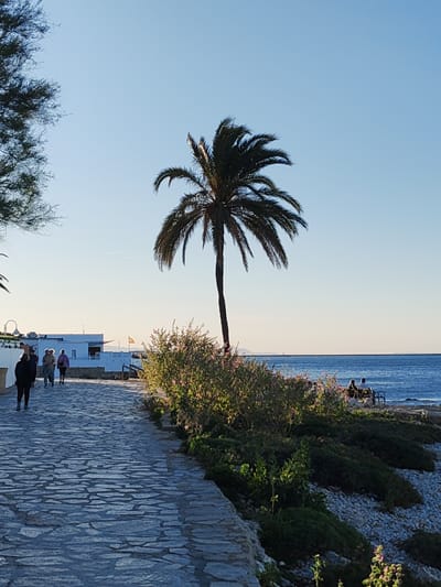 The image captures a serene coastal scene in Rotes, Spain, on a bright, clear day. A wide, irregularly stone-paved path, possibly a promenade, occupies the left and bottom foreground. Several people are seen walking along this path away from the camera, with the closest individual in a dark top and pants.
A tall, dark palm tree stands prominently in the mid-ground, slightly to the right, its fronds silhouetted against the vibrant blue sky. Below it, a dense arrangement of green bushes with some pink flowering plants borders the path on the right, leading down to the water. In the background, white Mediterranean-style buildings are visible, and a yellow flag with a red stripe (the Spanish flag) is flying from a pole.
Further to the right, the calm, deep blue sea stretches towards the horizon, meeting a pebbled or rocky shore. Two people are sitting on a bench or chairs near the water's edge, partially obscured by the foliage, seemingly enjoying the view. The sky is a clear, light blue, with a faint white contrail visible in the upper left. The lighting suggests late afternoon or early morning, with warm light illuminating some of the foliage and casting gentle shadows. The overall atmosphere is peaceful and relaxing.
