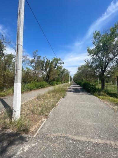 A paved pathway, possibly a road or a walking trail, recedes into the distance under a bright blue sky with scattered white clouds. The pathway is bordered on both sides by sparse vegetation, including grass and trees, some of which appear dry and bare. A concrete utility pole, painted with white markings near its base, stands prominently on the left side of the foreground, with a wire extending diagonally across the frame towards the sky. In the background, several more utility poles are visible along the pathway. The overall scene suggests an outdoor environment, likely in a semi-rural or undeveloped area, possibly within or on the outskirts of Znamensk, Russia, given the mention of that location. There are no people visible in the image.