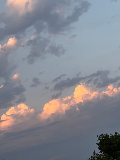 A wide shot captures a dusky sky over Yangiil, Uzbekistan. Fluffy clouds, tinged with peach and pink hues from the setting sun, drift across a pale blue expanse. Darker, more subdued clouds mingle with them, creating a textured, layered effect. The overall impression is one of a serene, twilight atmosphere. In the lower right corner, the dark green foliage of a tree partially obstructs the view, suggesting the vantage point is from ground level. A few tiny specks in the sky might be birds or distant aircraft.
