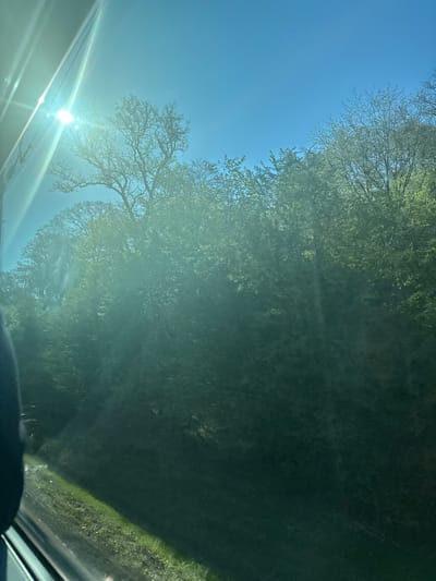 The image shows a view from inside a vehicle, likely a car, looking up at a bright sky and trees. The sun is shining intensely, causing lens flare. The trees form a dense canopy overhead, casting shadows. The location appears to be a road bordered by trees. While the city mentioned is Reckange-sur-Mess, Luxembourg, there's insufficient information to confirm that this image was taken at that exact location. The scene depicts a natural environment from a vehicular perspective.
