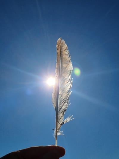 A close-up, low-angle shot captures a single, light-brown feather held up against a clear, bright blue sky. The sun is positioned to the left of the feather, creating a strong lens flare with visible rays and a green bokeh effect. The feather is detailed, showing its delicate structure and some frayed edges. A human hand, silhouetted in dark shadow, is visible at the bottom of the frame, holding the quill of the feather. The scene appears to be outdoors, with no identifiable elements of the city of Kemul, Russia, present in the image.