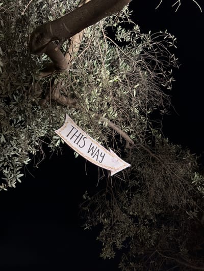 The image captures an upward view into the dense branches of a tree at night in Nir Eliyahu, Israel. The dark, starless sky serves as a stark background, emphasizing the silhouette of the tree's intricate network of branches and leaves.
The main subjects are the tree and a white, arrow-shaped sign attached to one of its branches. The tree appears to be an olive tree, characterized by its gnarled trunk and branches, and small, elongated leaves. Some branches are laden with foliage, brightly illuminated by an unseen light source from below or the side, giving them a silvery-green hue. Other branches are bare, intricate in their skeletal forms against the darkness.
Prominently featured in the mid-right of the frame is the sign, pointing upwards and to the right. It is a light-colored, possibly paper or thin cardboard, arrow with a ruffled, decorative gold-colored border. In bold, black capital letters, the sign clearly reads "THIS WAY." The text suggests a directional purpose, guiding an unseen viewer.
There is no human activity depicted, and the scene implies a quiet, nocturnal setting. The artificial lighting on the tree creates a dramatic atmosphere, highlighting the textures of the bark and leaves. The low-angle perspective makes the tree appear grand and enveloping. The overall mood is one of quiet mystery or guidance within a dark, natural environment.
